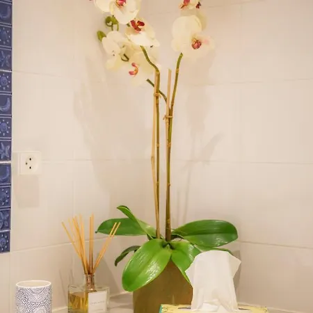Flora's Affittacamere